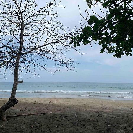 Beautiful Loft Near The Beach Διαμέρισμα Manzanillo  Εξωτερικό φωτογραφία