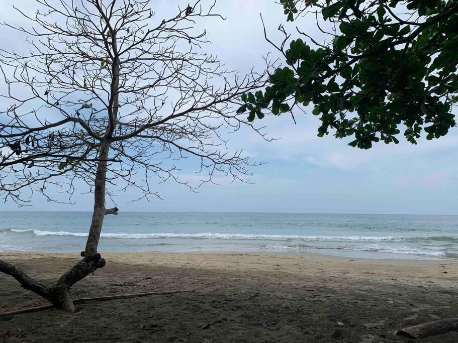 Beautiful Loft Near The Beach Διαμέρισμα Manzanillo  Εξωτερικό φωτογραφία